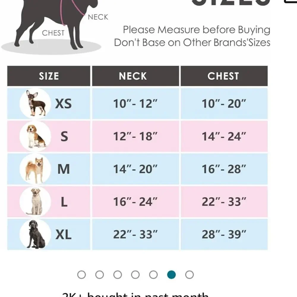 Phoepet Orange No Pull Harness size Medium Easy On and Off